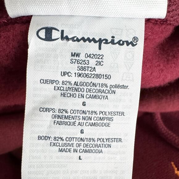 NWT Champion Reverse Weave Loose Fit Hoodie With Embroidered Leaves Men's Size L - Picture 11 of 11